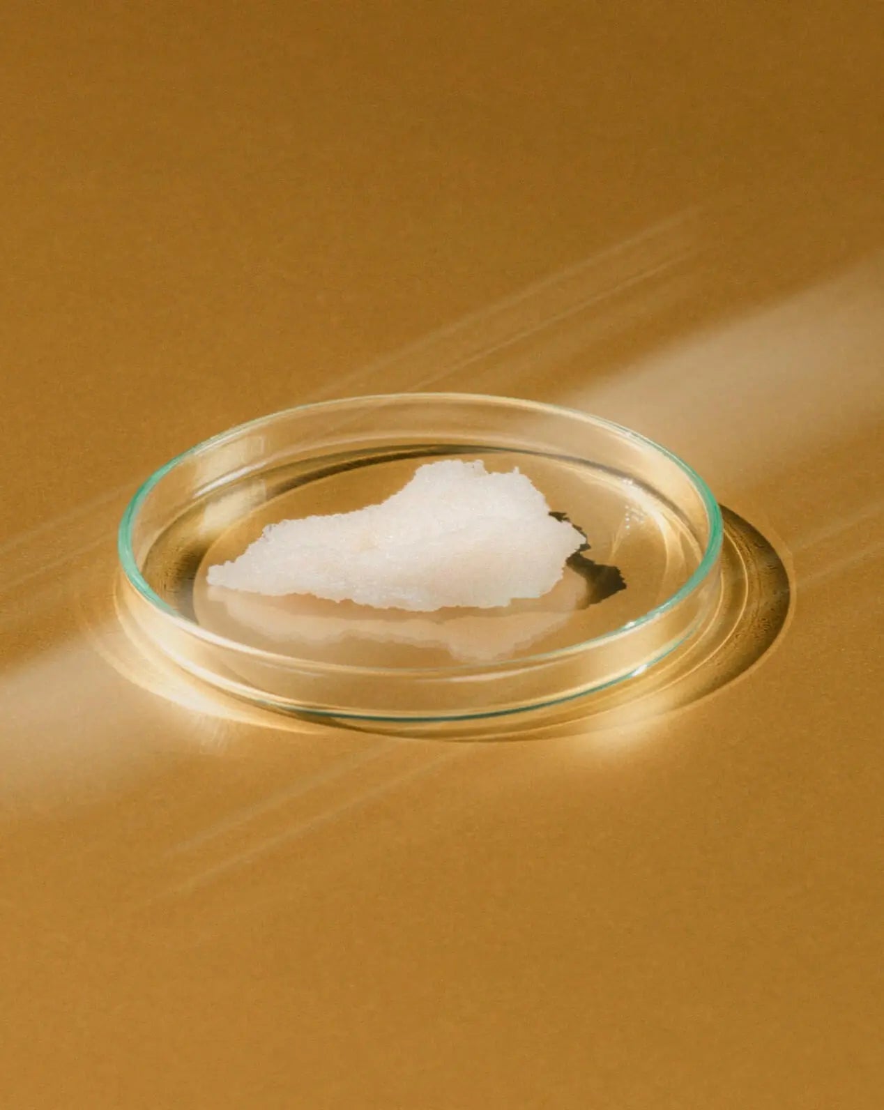 Radiant Skin - Cleansing Milk